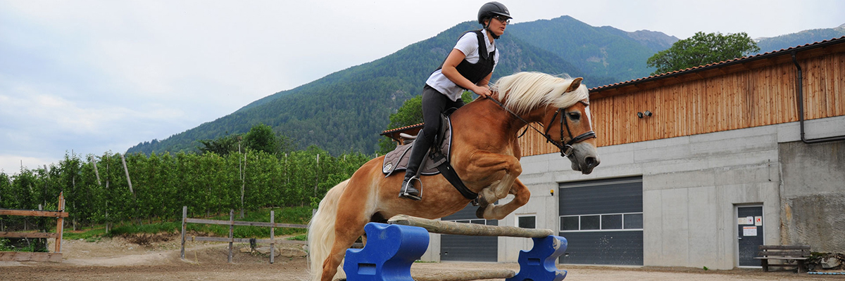 Vacanza a cavallo in fattoria nella Val Venosta/ Alto Adige