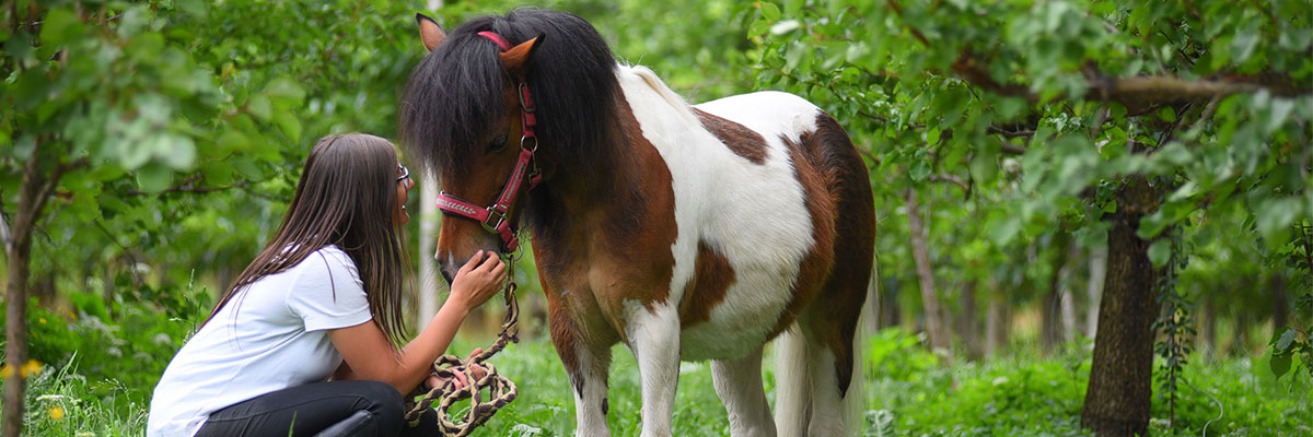 Vacanza a cavallo in fattoria nella Val Venosta/ Alto Adige