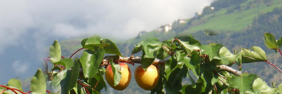 Luoghi d’interesse a Tarres, in Val Venosta